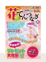 花のてんつなぎ館 Vol.8